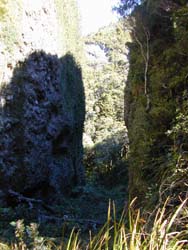 Great Barrier Island Windy Canyon