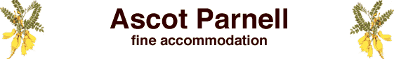 Auckland Ascot Parnel Recommendations